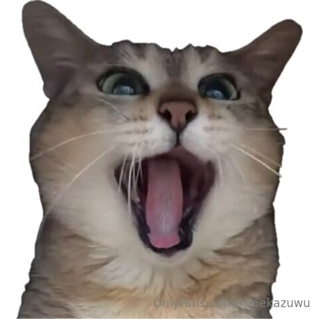 Konekazuwu OnlyFans Sex Leaks