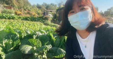 sunnymei OnlyFans Leak