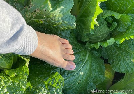 sunnymei OnlyFans Nackt Leak