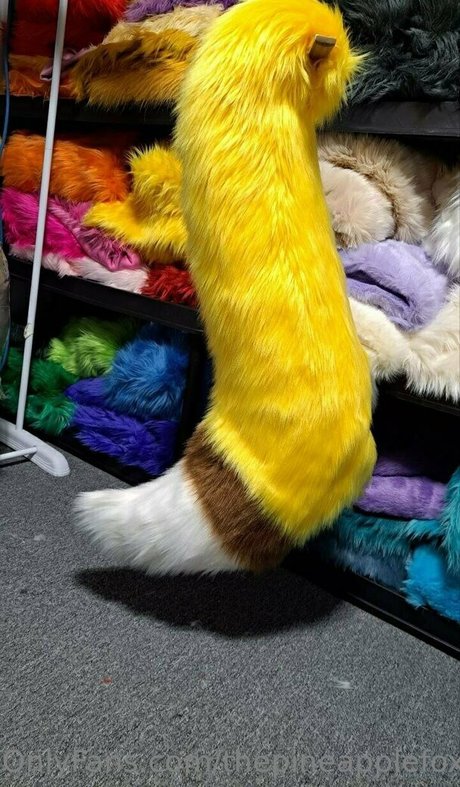 thepineapplefox Nacktbilder geleakt OnlyFans Nacktporno