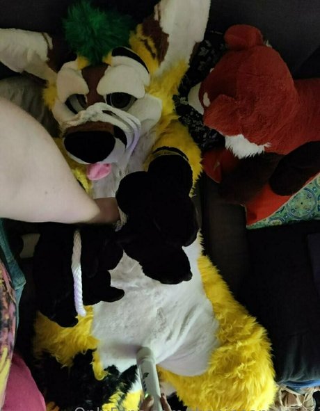 thepineapplefox Nacktbilder von OnlyFans