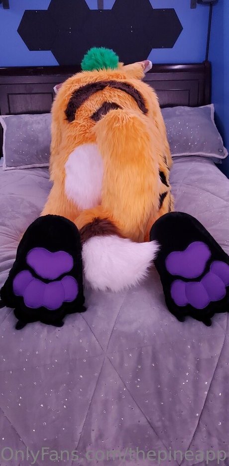 thepineapplefox Profilbild