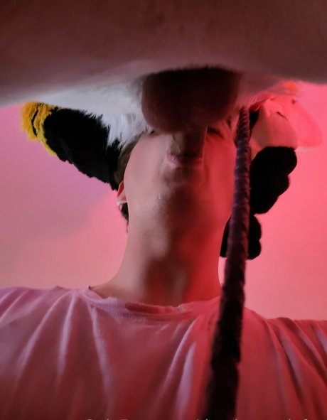 thepineapplefox OnlyFans Inhalte