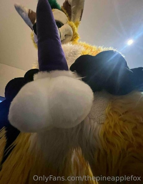 thepineapplefox Nackt auf OnlyFans