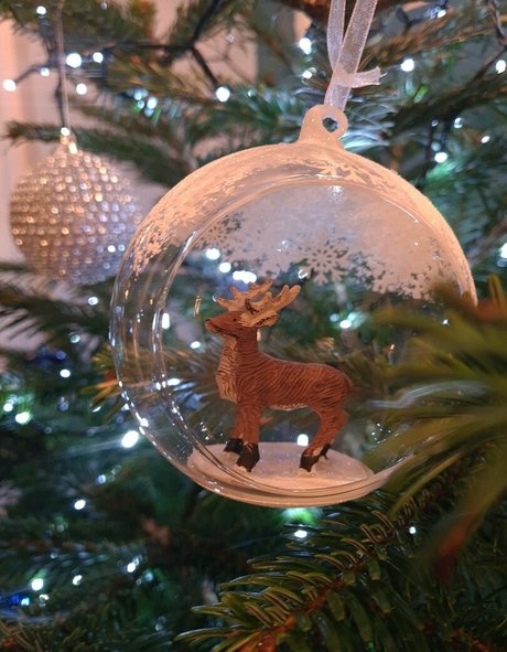 kayleigh95 OnlyFans XXX