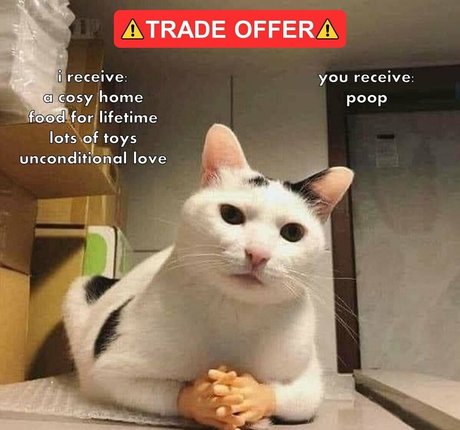 ccbunz Nacktbilder von OnlyFans