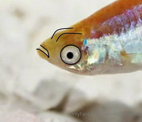 aaronicflintpublic OnlyFans nackt