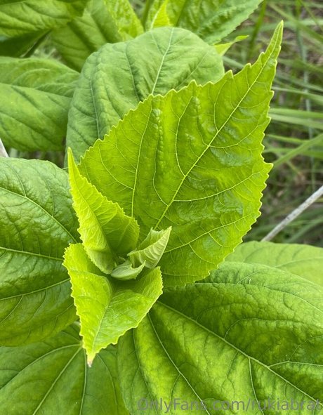 rukiabrat Nacktbilder von OnlyFans