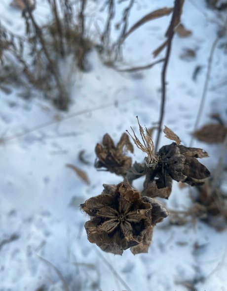 rukiabrat OnlyFans nackt