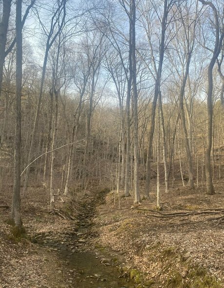 echte zwillings-onlyfans nackt Content