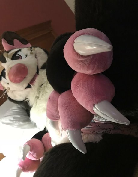 fox anatomy OnlyFans-Fotos