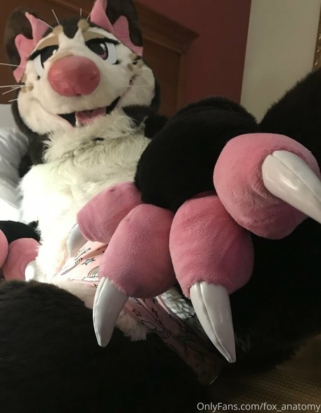 fox anatomy OnlyFans Nackt Leaks