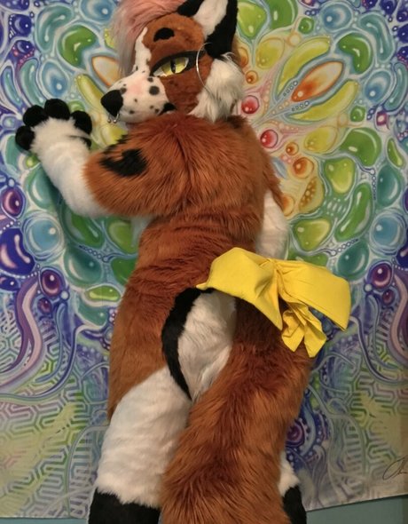 fox anatomy Nacktbilder auf OnlyFans