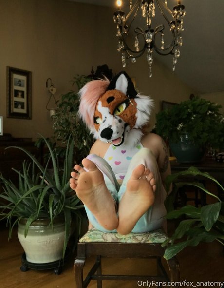 fox anatomy OnlyFans Star