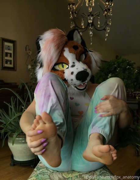 fox anatomy Only ...