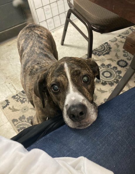 bridgetblack Nacktbilder von OnlyFans geleakt