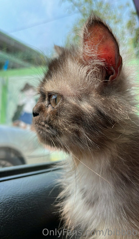 bibbob Leaked OnlyFans Sex Tape