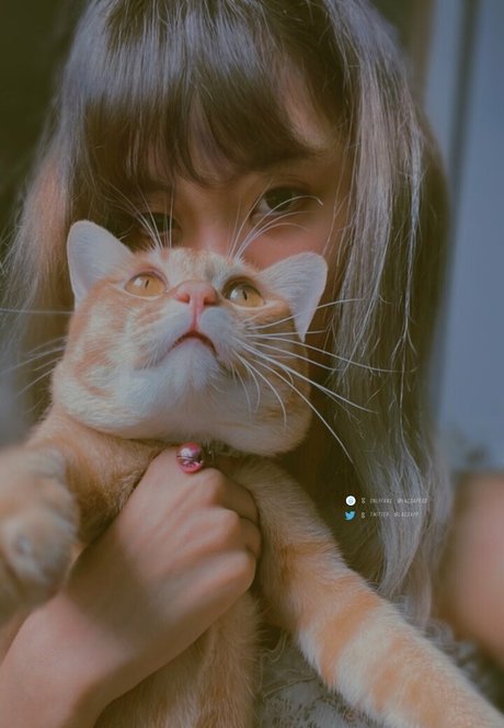 bibbob Nacktbilder geleakt OnlyFans Aufgedeckt