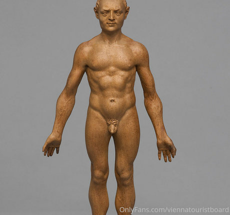 viennatouristboard OnlyFans gratis