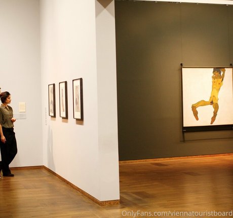 viennatouristboard OnlyFans Mega