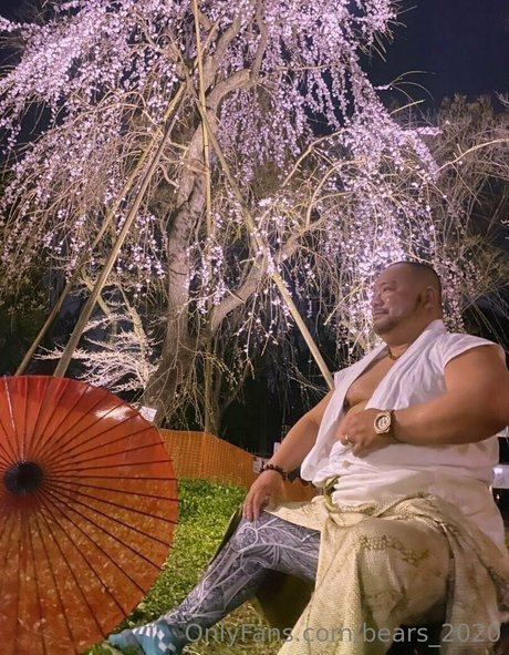 bears 2020 OnlyFans Archiv