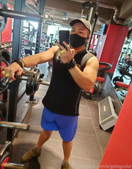 largedogcollar OnlyFans kostenlos