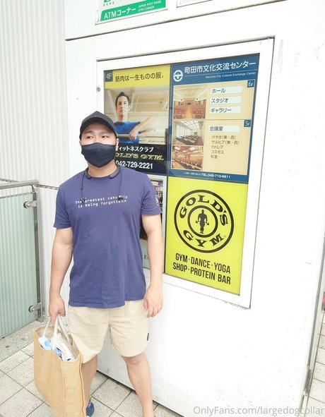 largedogcollar OnlyFans Fick geleakt