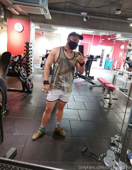 largedogcollar OnlyFans Sextape