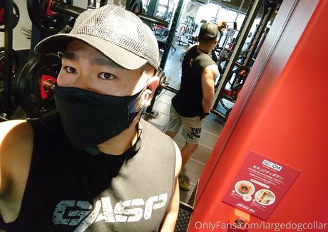 largedogcollar OnlyFans Sex geleakt