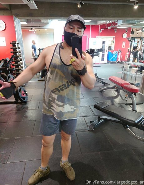 largedogcollar OnlyFans kostenlos geleakt