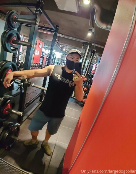 largedogcollar Nacktbilder von OnlyFans
