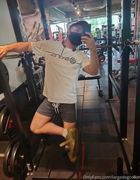 largedogcollar Nacktbilder OnlyFans Geleakt