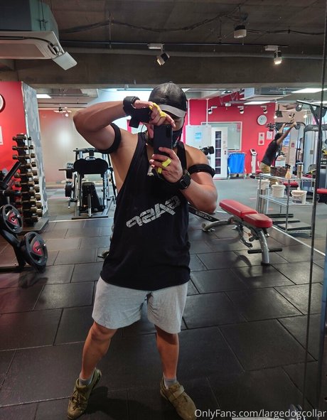 largedogcollar OnlyFans gratis