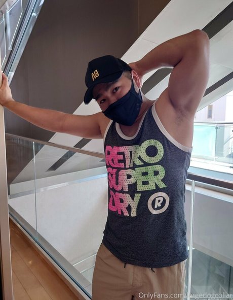 largedogcollar Brüste OnlyFans