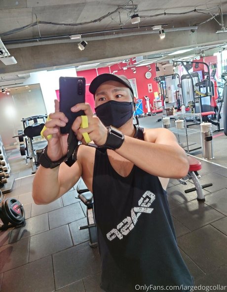 largedogcollar OnlyFans Nackt