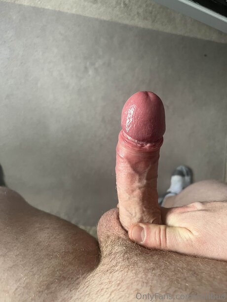 Conbud OnlyFans Inhaltstyp