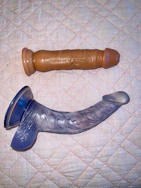 Ashleysortega Nacktbilder von OnlyFans