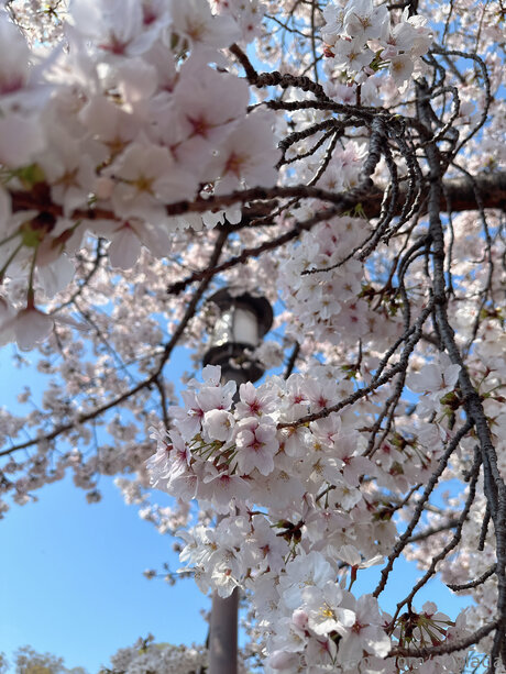 Noxlada Leaked OnlyFans Bilder