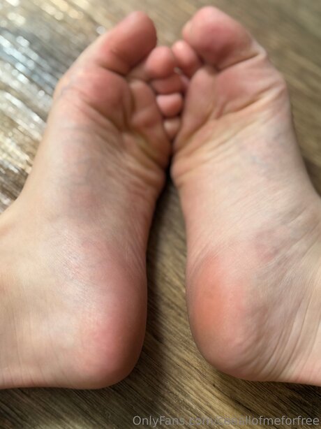 Ceeallofmeforfree OnlyFans Leak Pornografie