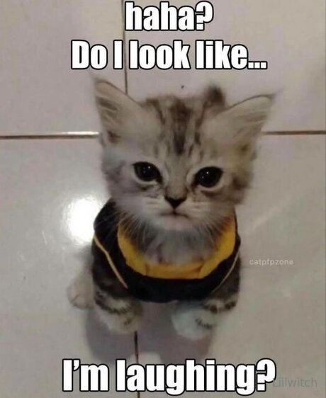 Liilwitch OnlyFans Beiträge