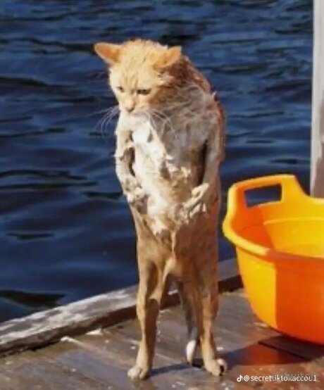 Liilwitch Nacktbilder von OnlyFans geleakt