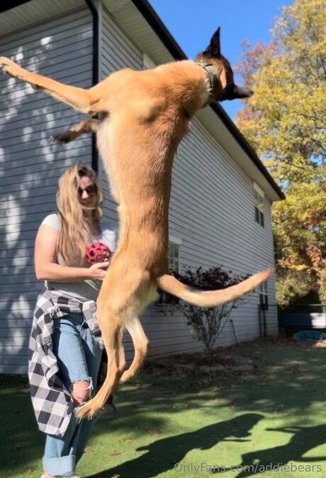 Addiebears Porn OnlyFans Leak