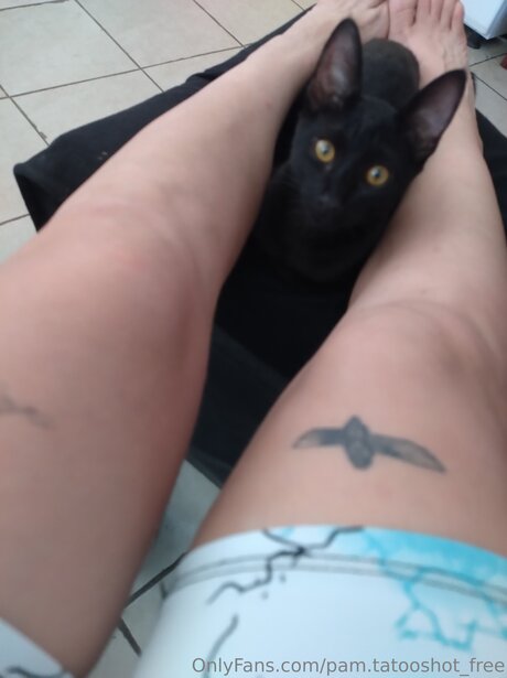 Pam Tatooshot Free Profilbild