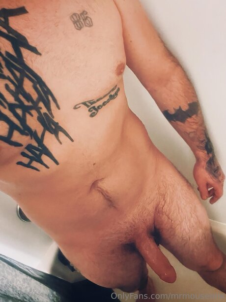 Mrmouseone OnlyFans-Creator