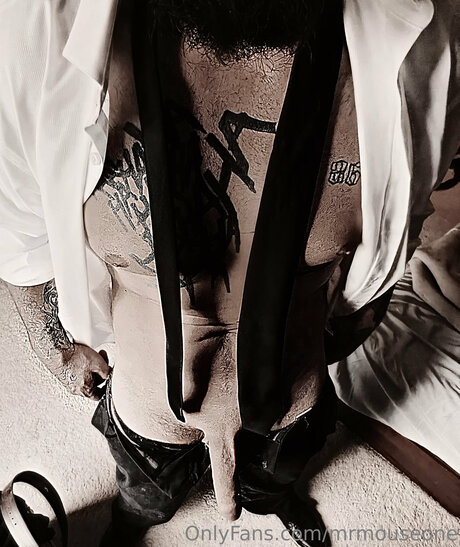 Mrmouseone OnlyFans Porn