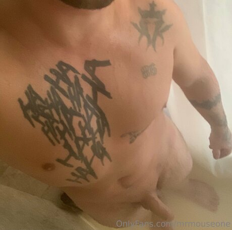 Mrmouseone Nacktbilder geleakt