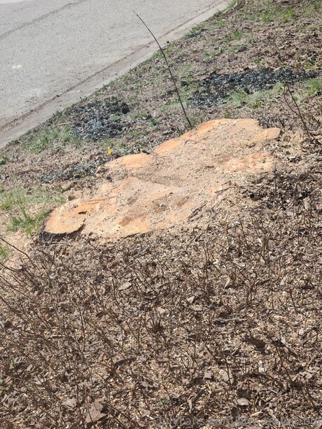 Shy Travel Boi Porn OnlyFans Leak