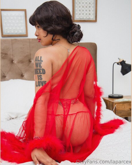 Laparcex OnlyFans-Model