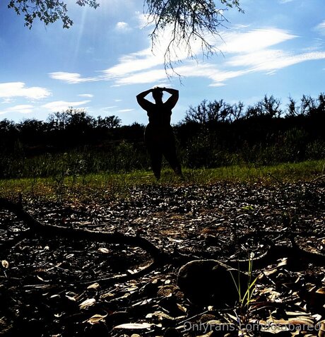 Improbus888free OnlyFans-Bild