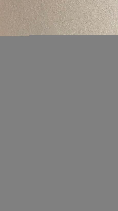 Lizlavenderx OnlyFans Inhalte